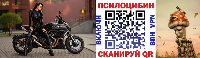 сайты даркнета состав  Наволоки  Псилоцибиновые грибы Psilocybe  цены  